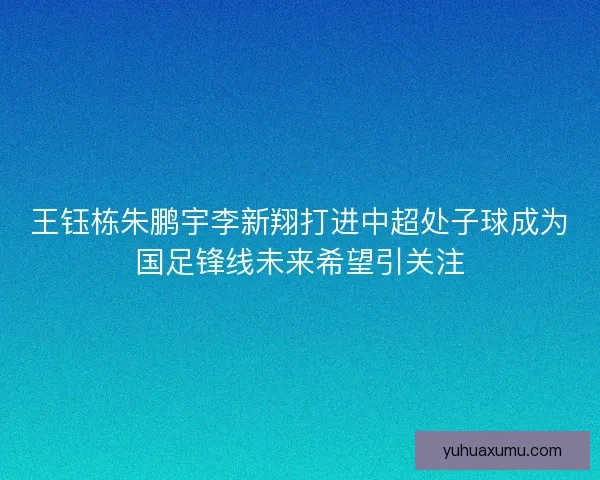 王钰栋朱鹏宇李新翔打进中超处子球成为国足锋线未来希望引关注