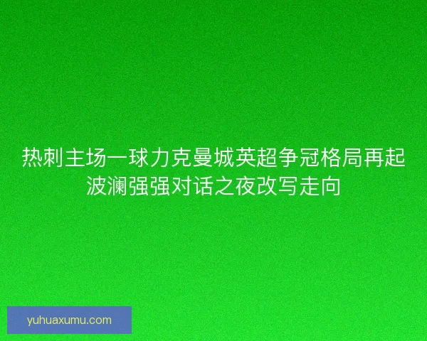 热刺主场一球力克曼城英超争冠格局再起波澜强强对话之夜改写走向