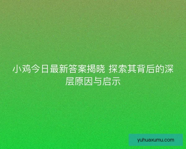 小鸡今日最新答案揭晓 探索其背后的深层原因与启示