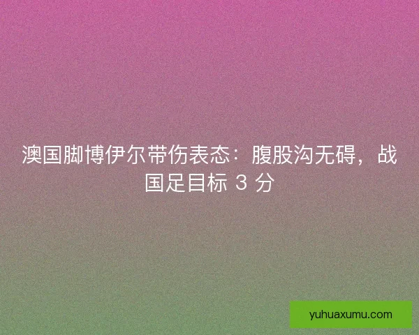 澳国脚博伊尔带伤表态：腹股沟无碍，战国足目标 3 分