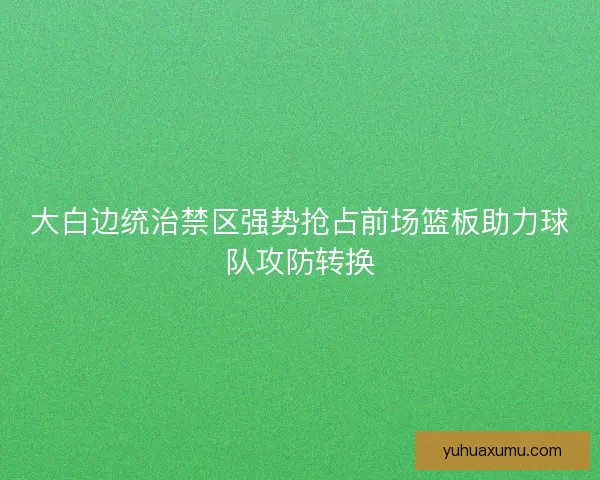 大白边统治禁区强势抢占前场篮板助力球队攻防转换