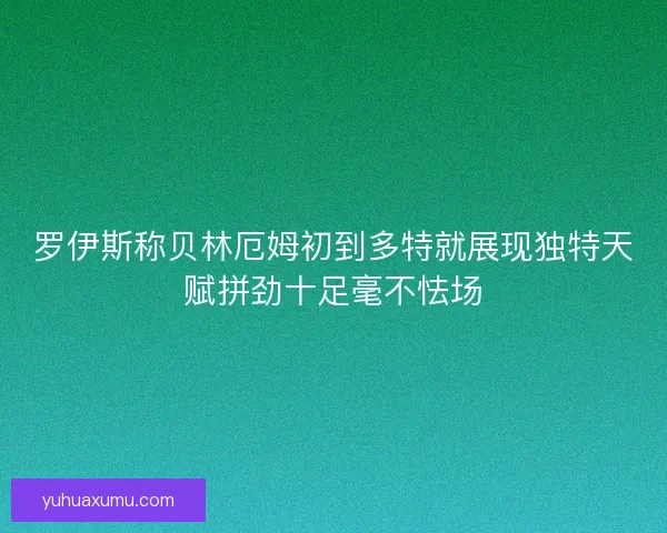 罗伊斯称贝林厄姆初到多特就展现独特天赋拼劲十足毫不怯场 罗伊斯称贝林厄姆初到多特就展现独特天赋拼劲十足毫不怯场